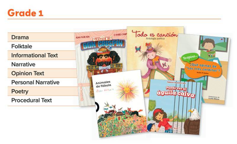 Spanish Mentor Texts Books for Grade 1