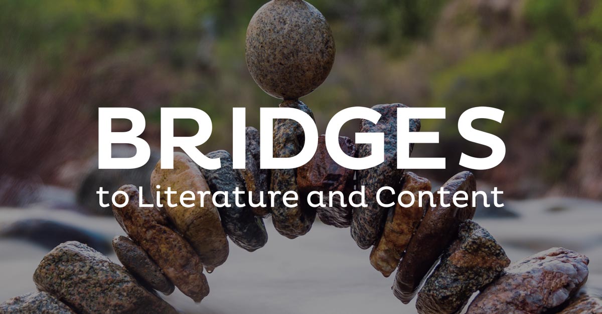 literature review for bridges