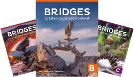 Bridges covers