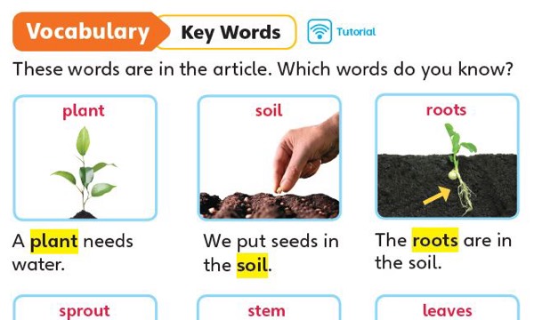 Reading strategy that supports comprehension