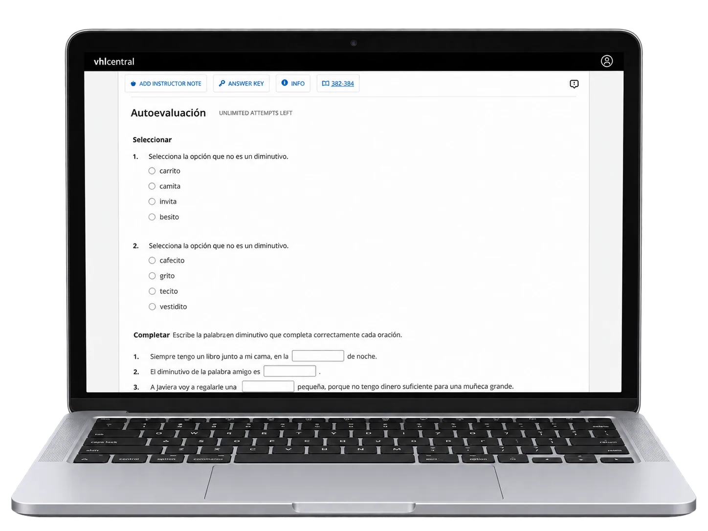 vhlcentral Autoevaluación self-assessment activity screen