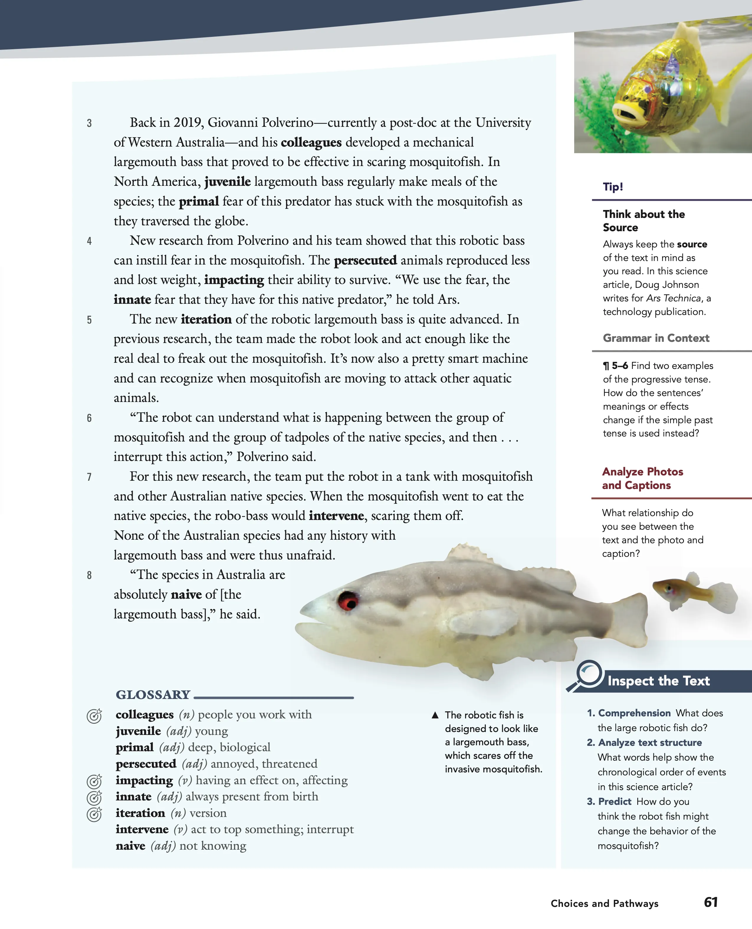 Level A, page 61