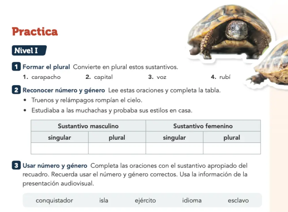 Practica