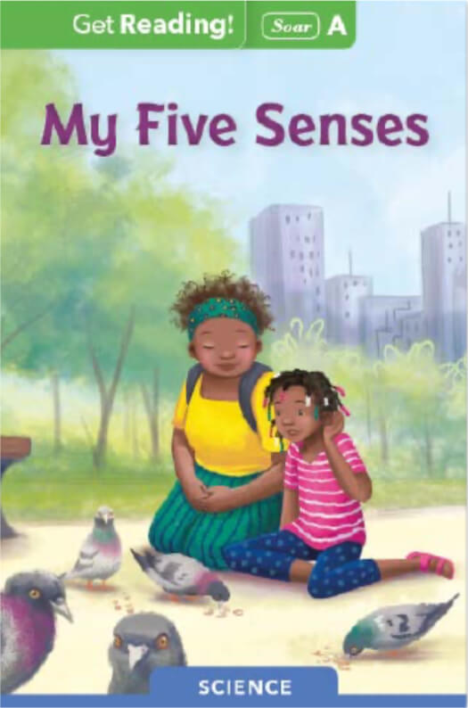 My Five Senses book