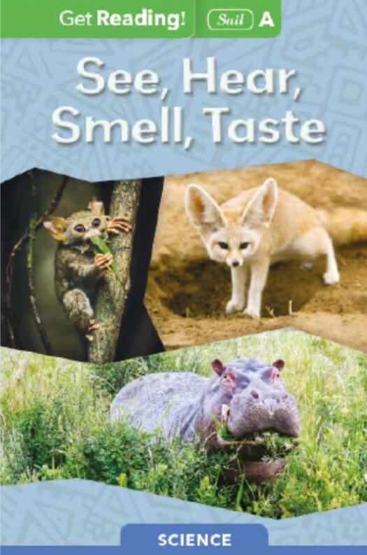 See, Hear, Smell, Taste book