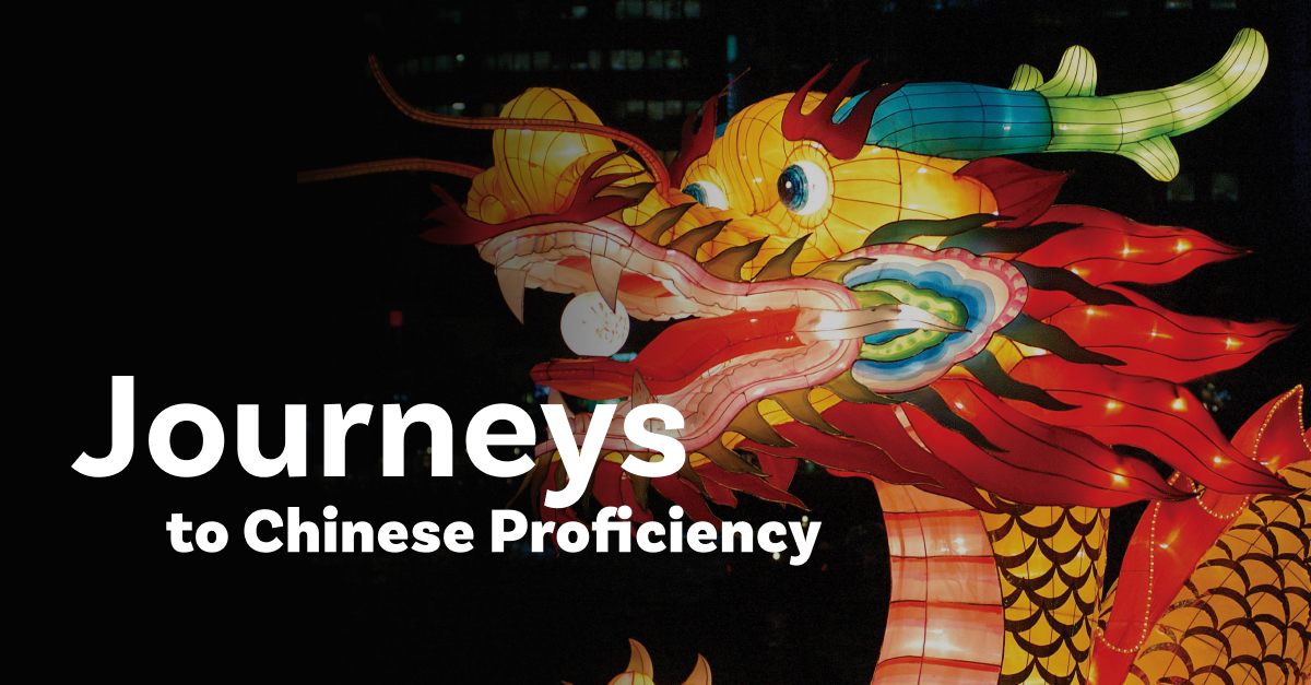 インターナショナルスクール教材　12冊 JOURNEYSなど Journeys K-12 | Vista Higher Learning