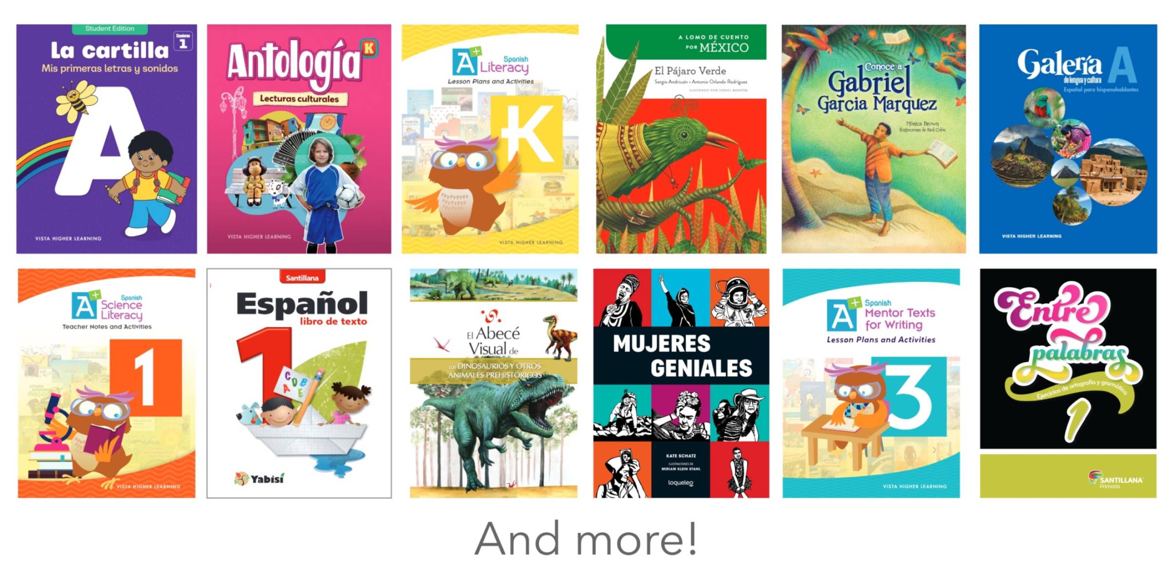 Spanish for Dual Language books